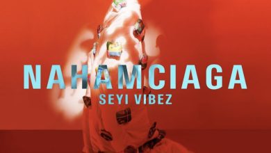 Seyi Vibez – Nahamciaga (Album) EP