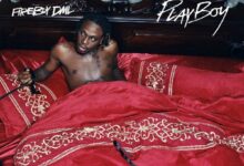 Fireboy DML – Playboy